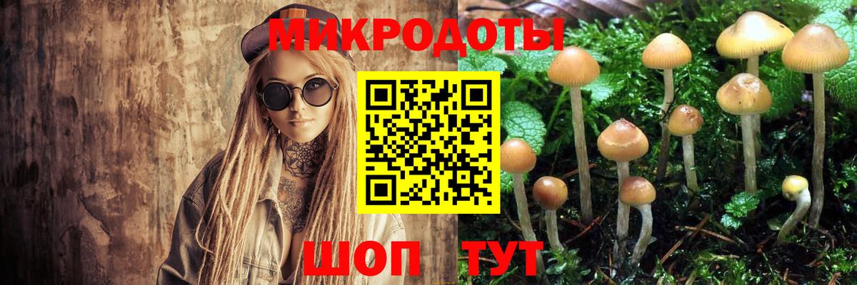 Псилоцибиновые грибы Cubensis  Псилоцибиновые грибы Psilocybine cubensis  продажа наркотиков  Ангарск  Вход с VPN 